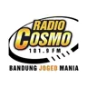 Radio Cosmo