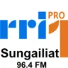 RRI PRO 1 Sungailiat