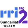 RRI PRO 2 Sungailiat